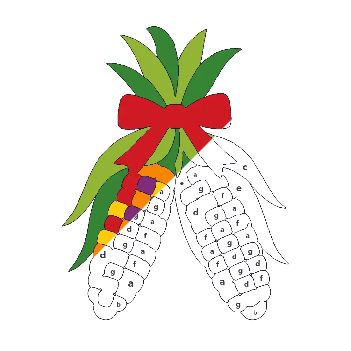 Harvest Corn color by letter color by number page, half colored to show the finished picture