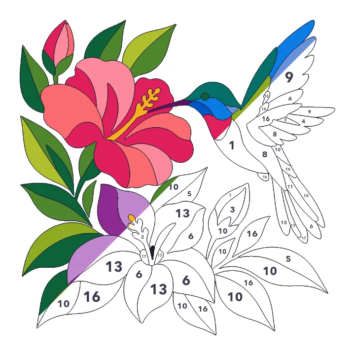 Hummingbird Garden color by number page, half colored to show the finished picture