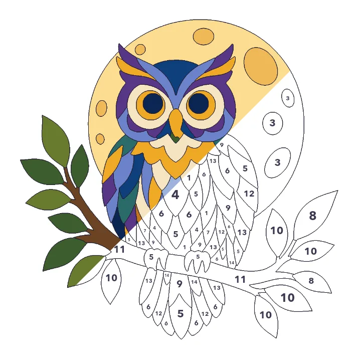 Owl and Moon color by number page, half colored to show the finished picture