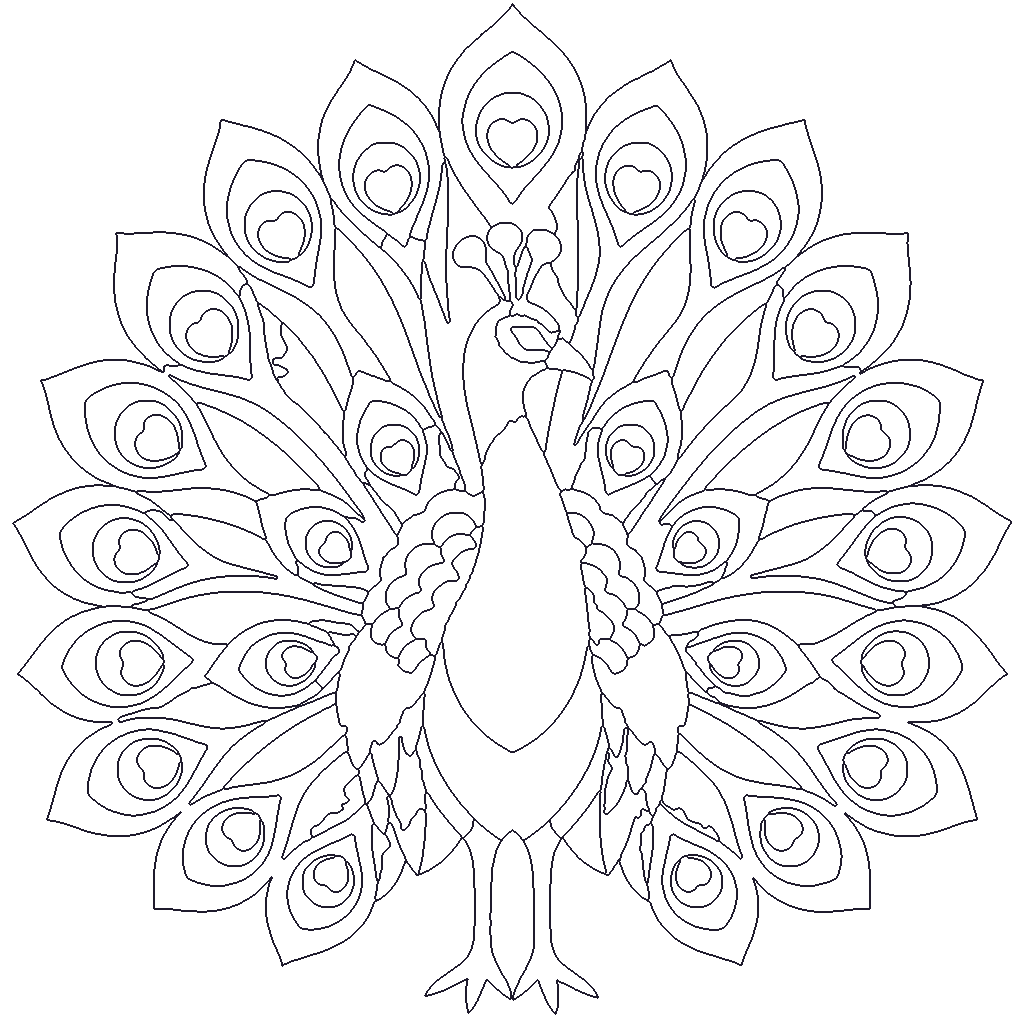 Peacock outline