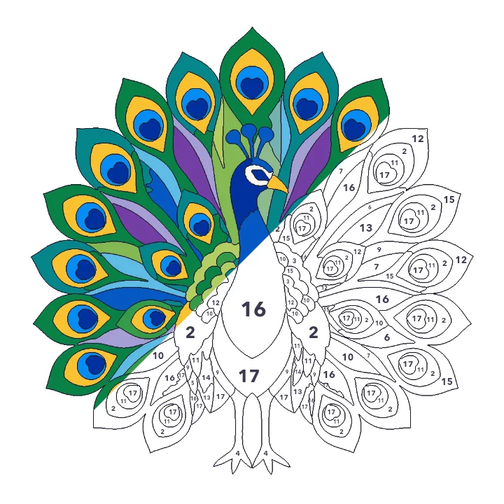 Peacock color by number page, half colored to show the finished picture