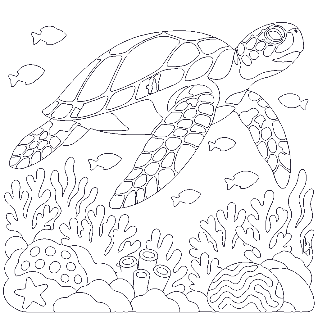 Sea Turtle Reef outline